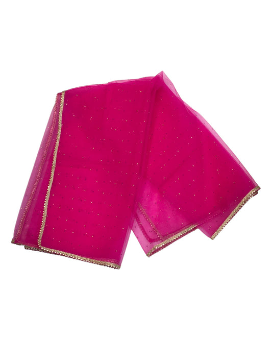 Fuchsia Hot Pink - Ladies Net Dupatta with Gold Lace Border & Diamante - Mix N Match - VC2501 T0125