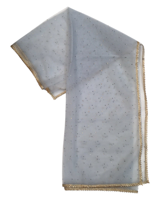 Grey - Ladies Net Dupatta with Gold Lace Border & Diamante - Mix N Match - VC2501 T0125 - Prachy Creations