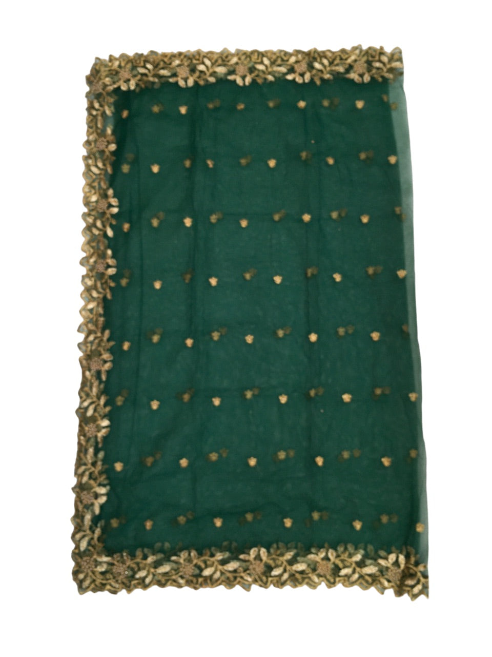 Ladies Net Dupatta / Scarf with Gold Embroidered Border - Mix N Match - ASM2301 Pp0723