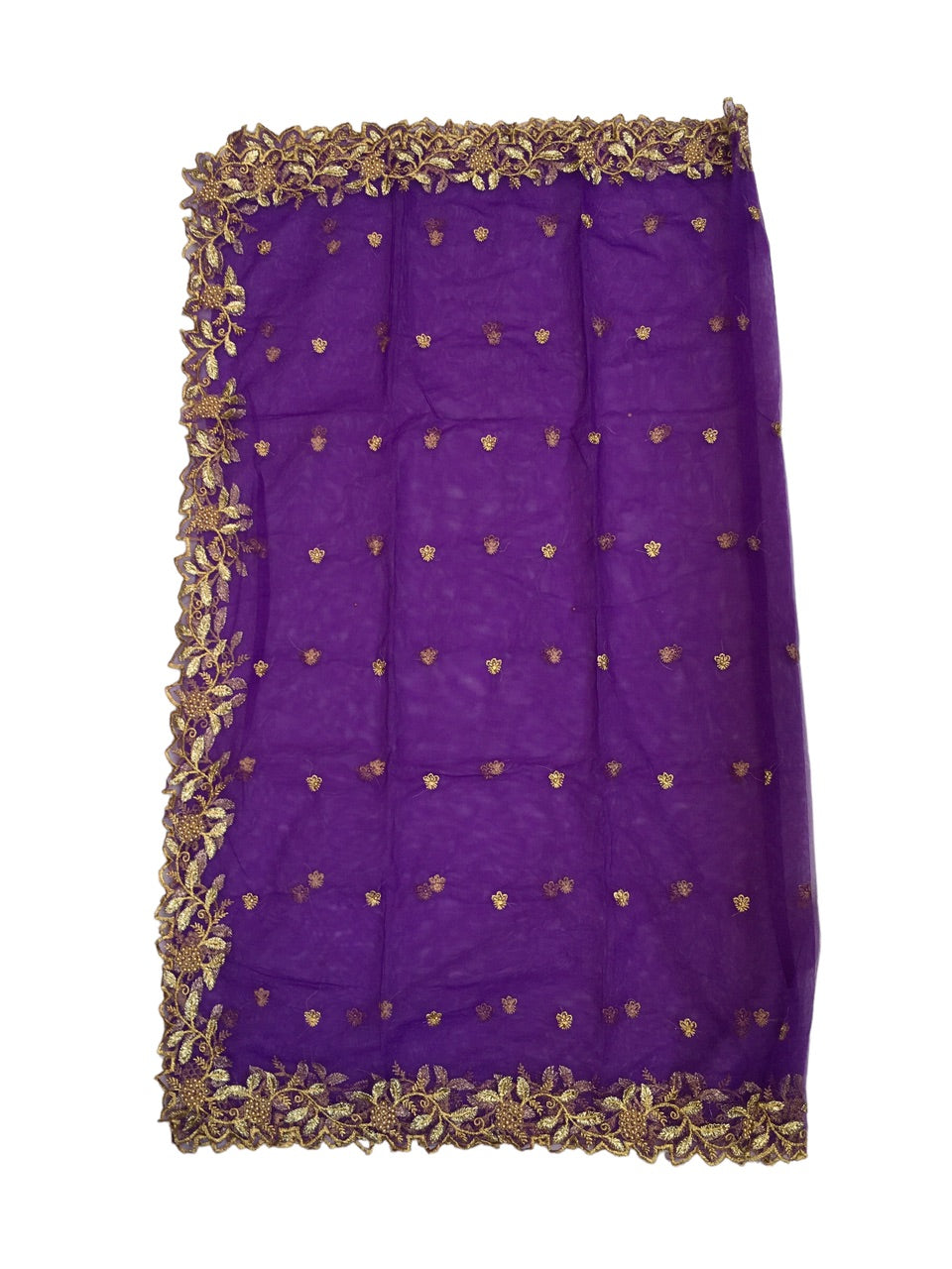 Ladies Net Dupatta / Scarf with Gold Embroidered Border - Mix N Match - ASM2301 Pp0723