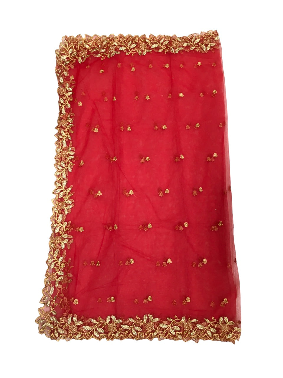 Ladies Net Dupatta / Scarf with Gold Embroidered Border - Mix N Match - ASM2301 Pp0723