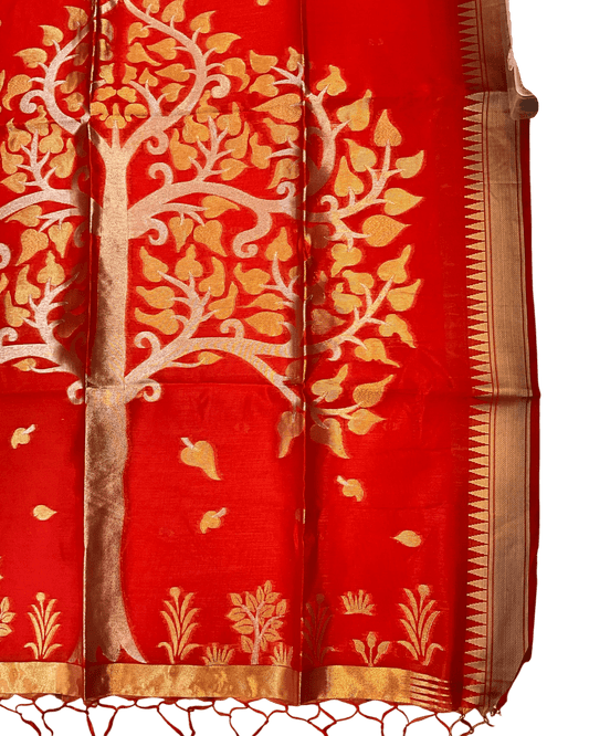 Red - Handloom Saree with Blouse Piece - UK stock - 24hr Dispatch - RT-BT005 07KJ26 - Prachy Creations