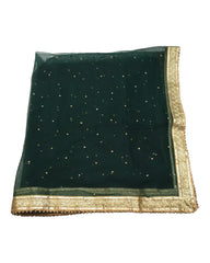 Large Soft Net Dupatta with Gold Beaded Border - Mix N Match -  HSK2307 RP 1023