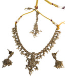 Gold / Neutral - Medium Size Necklace Set with Earrings - SLV47  KY 0424