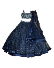 Stunning Navy Blue Lehenga Set - Size 12(38