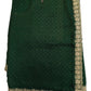 Green - Dupion Silk -Fancy Party Saree with Blouse Piece - 11KA24 SP2416