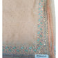 Peach - Chiffon - Party Wear Embroidiered Saree with Blouse Piece - SP250407 VT 0425