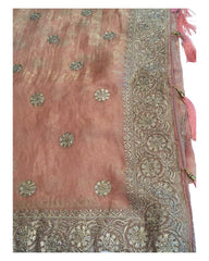 Coral - Tissue Chiffon - Party Wear Embroidiered Saree with Blouse Piece - SP250421 TV