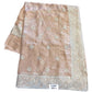 Champagne - Tissue Crepe - Party Wear Embroidered Saree with Blouse Piece - SP2504015 VR - Prachy Creations