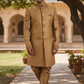 Fully Embroidered Gold Sherwani with churidar trousers - SNC861KKP 1018 - Prachy Creations