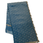 Sky Blue - Rich Saree with Stone Work Border and Blouse Piece - UK stock - 24hr Dispatch - RS2501 JK - Prachy Creations