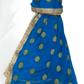 Benarasi Handloom Chiffon Dupatta with Beaded Border - Mix N Match - KAM2003 Rp0320 - Prachy Creations