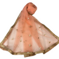 Ladies Net Dupatta with Gold Lace Border - Mix N Match -  HSK2101 Tp0621