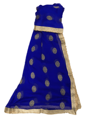 Benarasi Handloom Chiffon Dupatta with Beaded Border - Mix N Match - KAM2003 Rp0320 - Prachy Creations