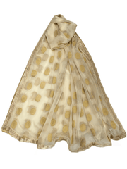 Benarasi Handloom Chiffon Dupatta with Beaded Border - Mix N Match - KAM2003 Rp0320 - Prachy Creations
