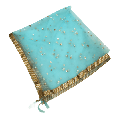 Ladies Net Dupatta with Gold Lace Border - Mix N Match - HSK2101 Tp0621 - Prachy Creations