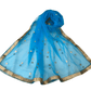 Ladies Net Dupatta with Gold Lace Border - Mix N Match - HSK2101 Tp0621 - Prachy Creations