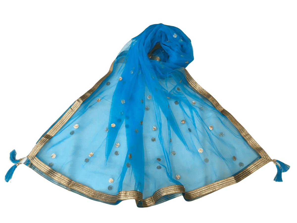 Ladies Net Dupatta with Gold Lace Border - Mix N Match - HSK2101 Tp0621 - Prachy Creations