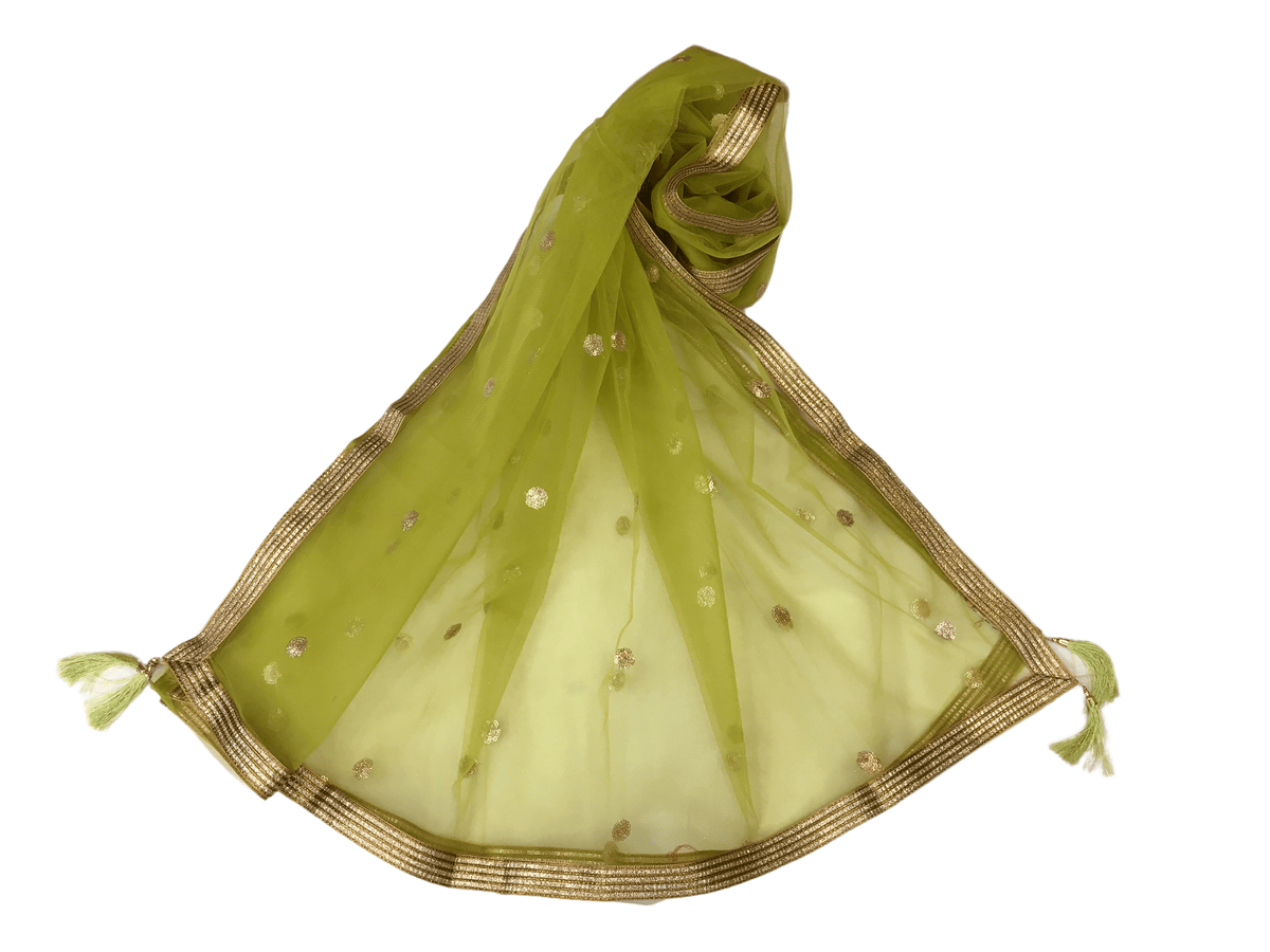 Ladies Net Dupatta with Gold Lace Border - Mix N Match - HSK2101 Tp0621 - Prachy Creations