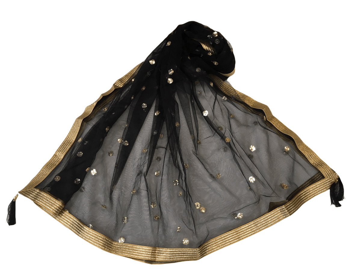 Ladies Net Dupatta with Gold Lace Border - Mix N Match - HSK2101 Tp0621 - Prachy Creations