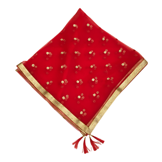 Ladies Net Dupatta with Gold Lace Border - Mix N Match - HSK2101 Tp0621 - Prachy Creations