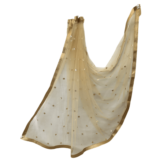 Ladies Net Dupatta with Gold Lace Border - Mix N Match - HSK2101 Tp0621 - Prachy Creations