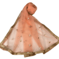 Ladies Net Dupatta with Gold Lace Border - Mix N Match - HSK2101 Tp0621 - Prachy Creations