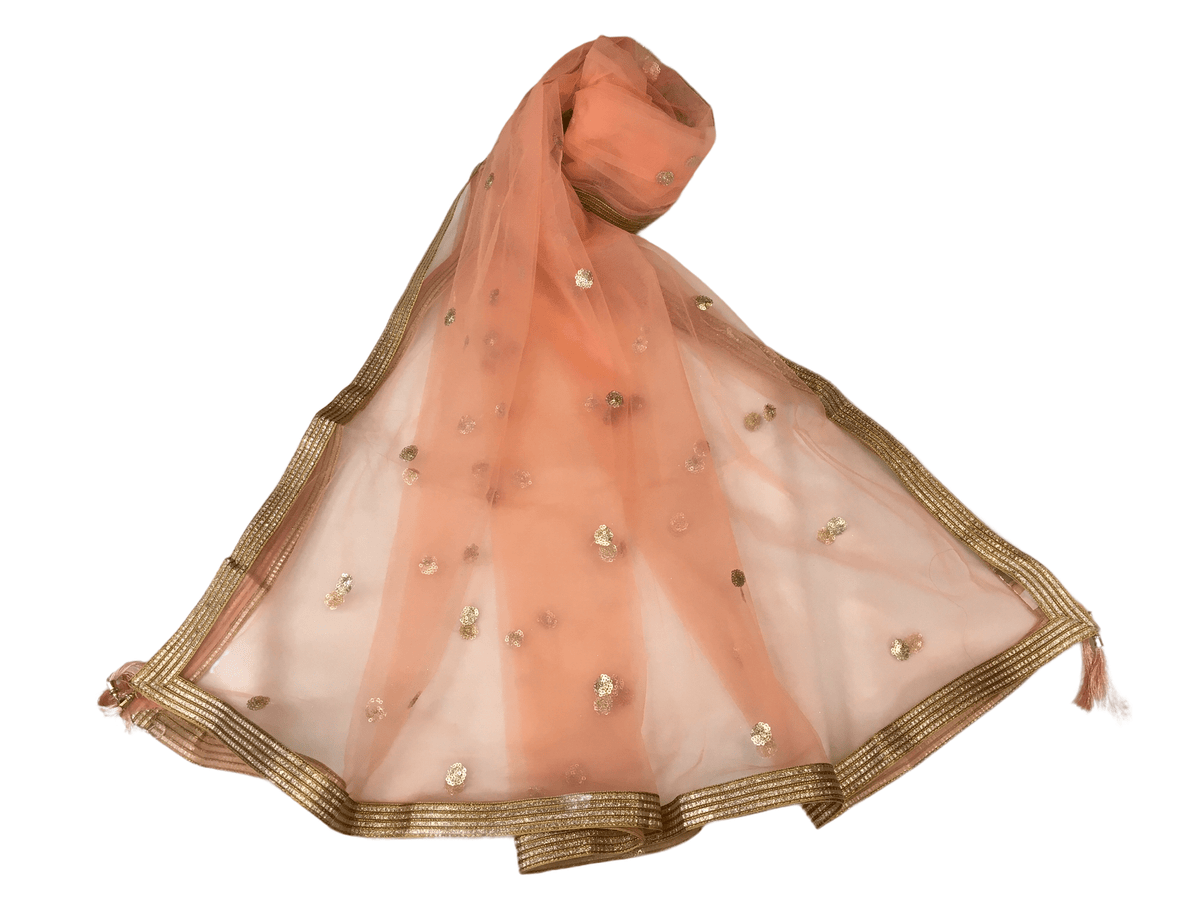 Ladies Net Dupatta with Gold Lace Border - Mix N Match - HSK2101 Tp0621 - Prachy Creations