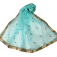 Ladies Net Dupatta with Gold Lace Border - Mix N Match - HSK2101 Tp0621 - Prachy Creations