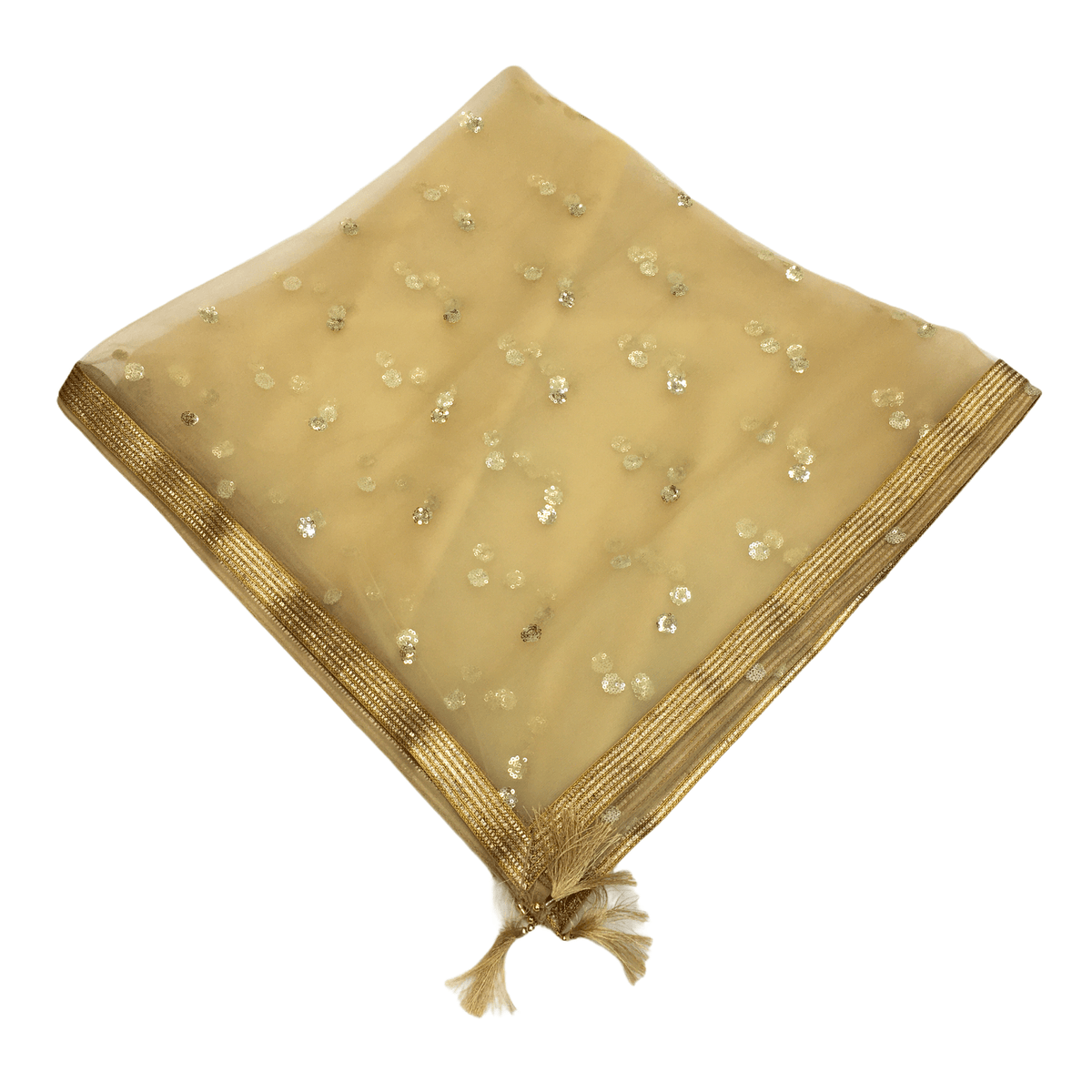 Ladies Net Dupatta with Gold Lace Border - Mix N Match - HSK2101 Tp0621 - Prachy Creations
