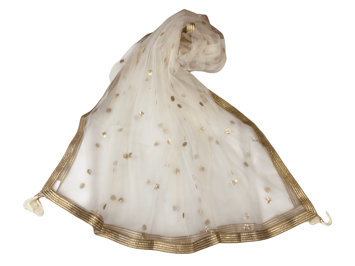 Ladies Net Dupatta with Gold Lace Border - Mix N Match - HSK2101 Tp0621 - Prachy Creations